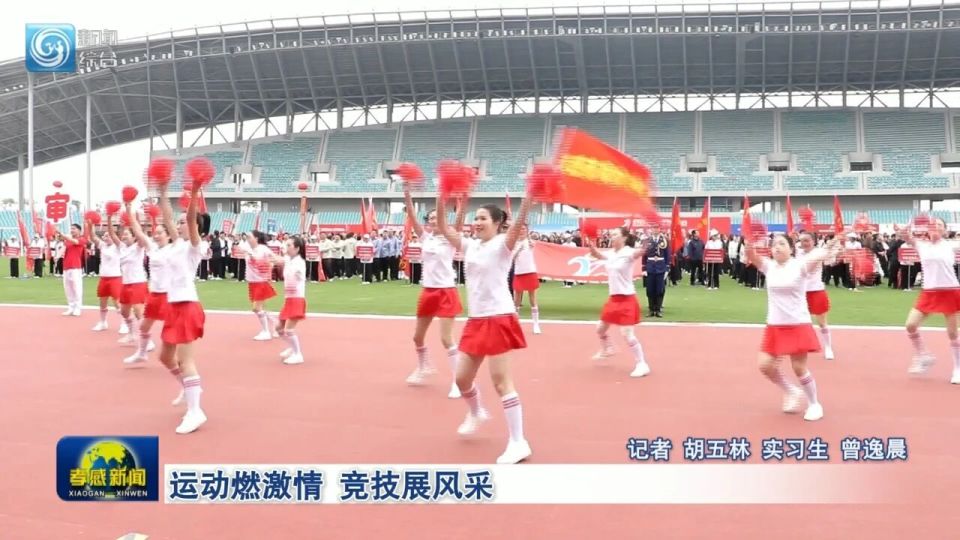 AA, 道具展示, 松机会 AA, 道具展示, 松机会