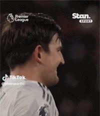 何应该进入, entit, 马奎尔得到